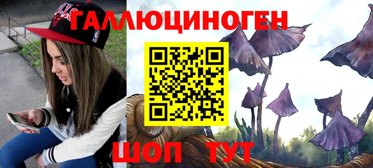 Псилоцибиновые грибы Magic Shrooms Новочебоксарск